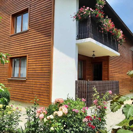 Aleksandar Apartmani Pale Exteriér fotografie
