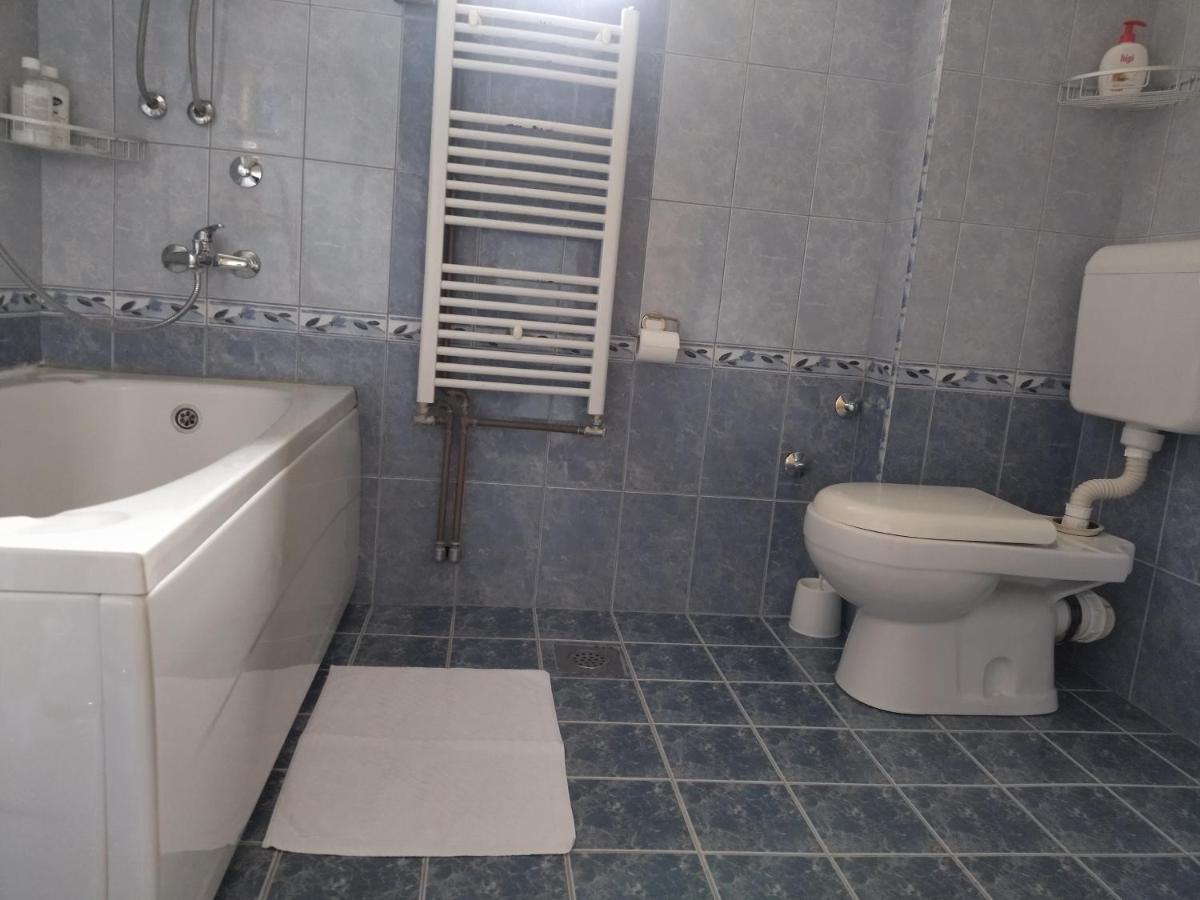 Aleksandar Apartmani Pale Exteriér fotografie