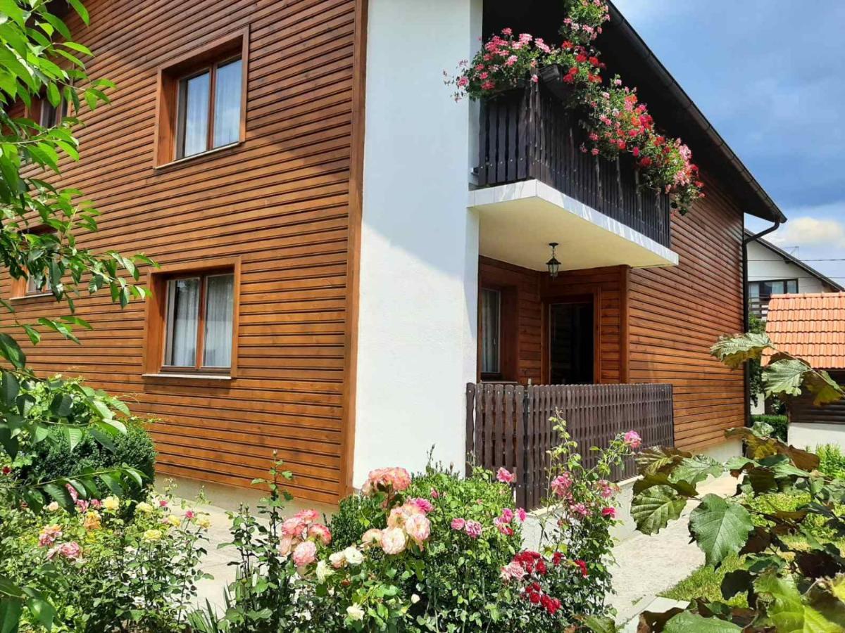 Aleksandar Apartmani Pale Exteriér fotografie